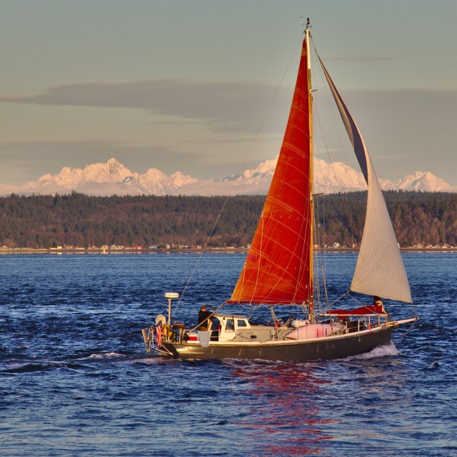 wp-1420260769409 image